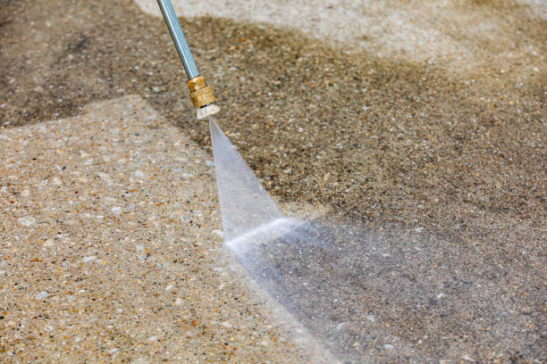 Best Residential Pressure Washing in Grayvle, IL