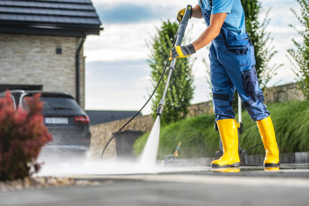 Best Roof Cleaning and Mildew Removal in Grayvle, IL